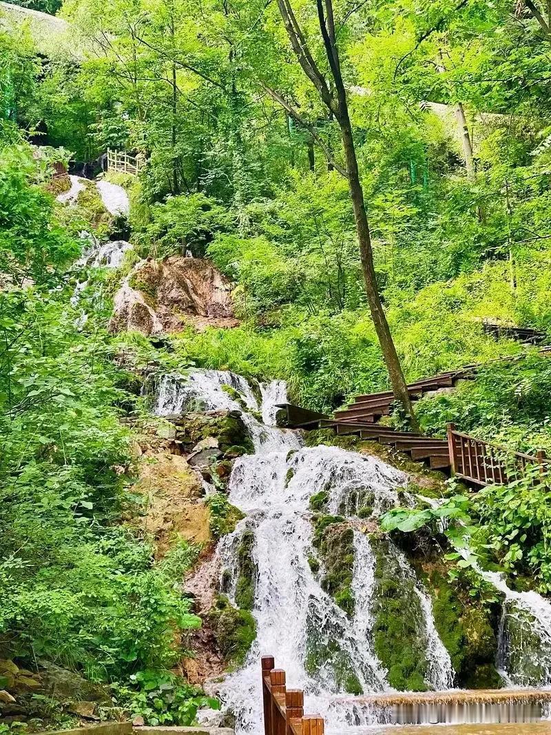 王府竹海位于洛阳市栾川县，是一个以自然风光和森林景观为主要特色的景区。王府竹海保