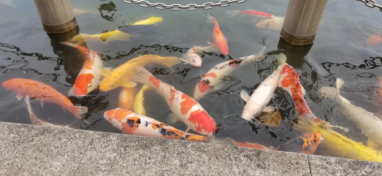 炒股的朋友，有没有和我情况一样的呀！
我这么做是不是显得太小家子气了。
我找了个