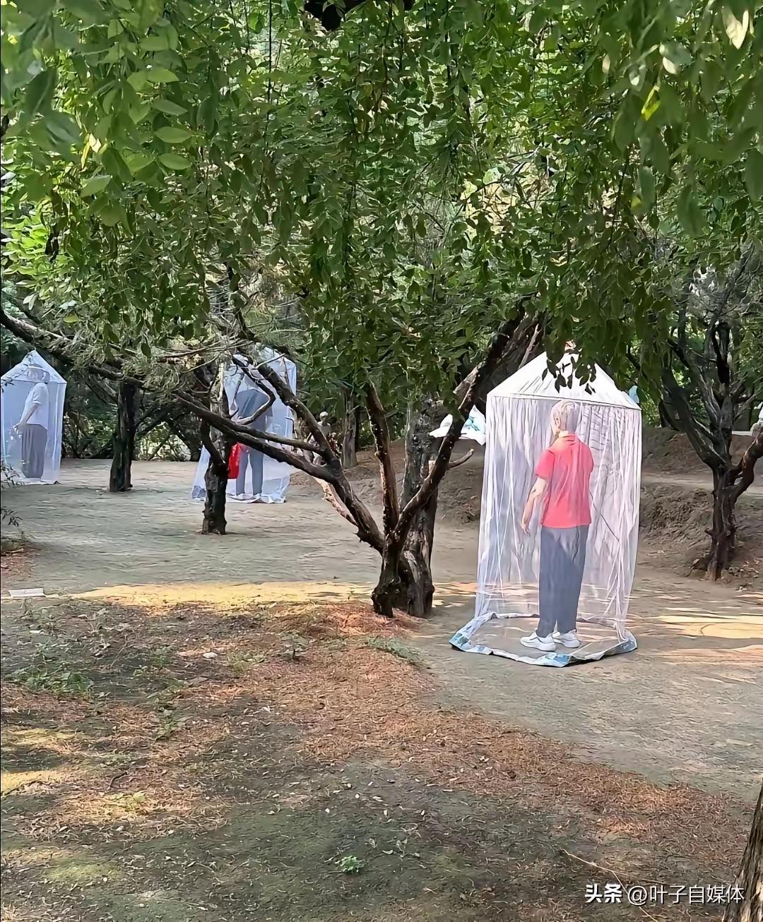 大爷把自己"装"进蚊帐里晨练，路人笑了，蚊子哭了。

清晨公园，别人打太极、跳广