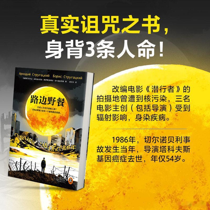 我的私人宝藏书单 这本书后劲儿太大了 书评 《路边野餐》外星人神秘造访地球后离去