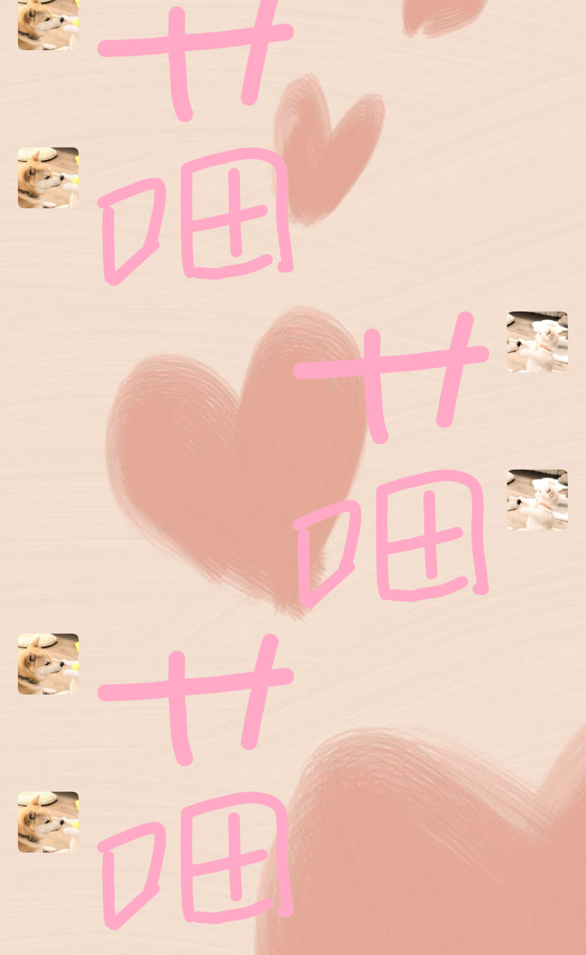 喵喵喵 