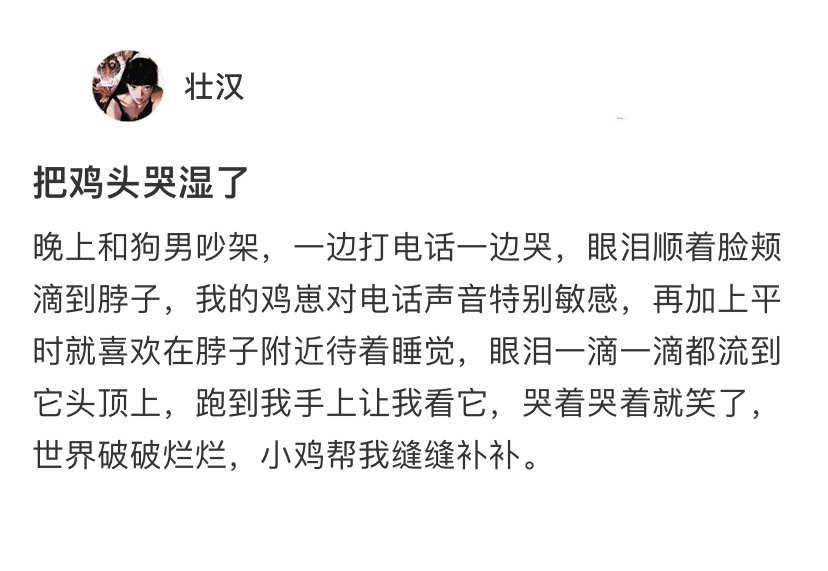 和对象吵架把小鸡脑袋哭湿了[开学季] ​​​