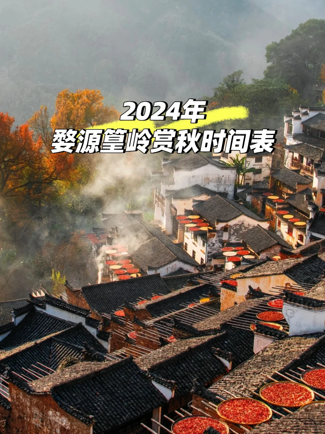 2024年婺源篁岭晒秋时间官宣了🌾🍁🎃