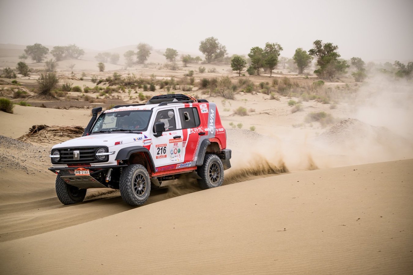 2026环塔拉力赛重磅来袭！5月16日-6月3日，19天极限挑战，7个大营串联起