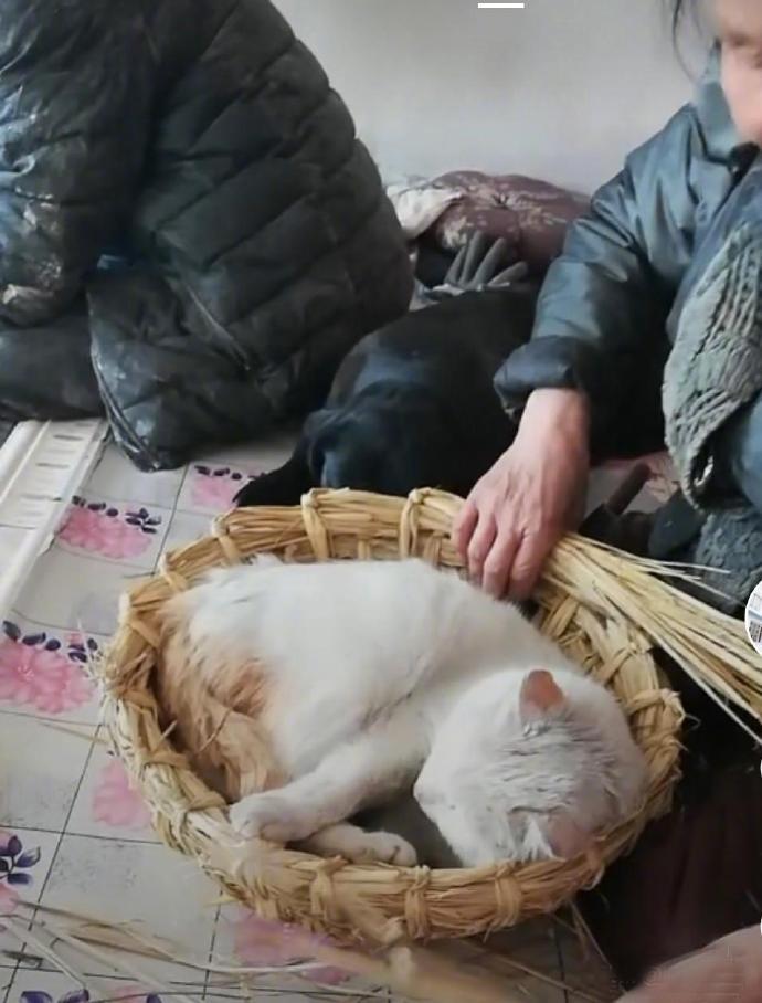 在这个五彩斑斓的世界上，家的意义千千万万。最幸福，最惬意，最放心，最佛系的不过是