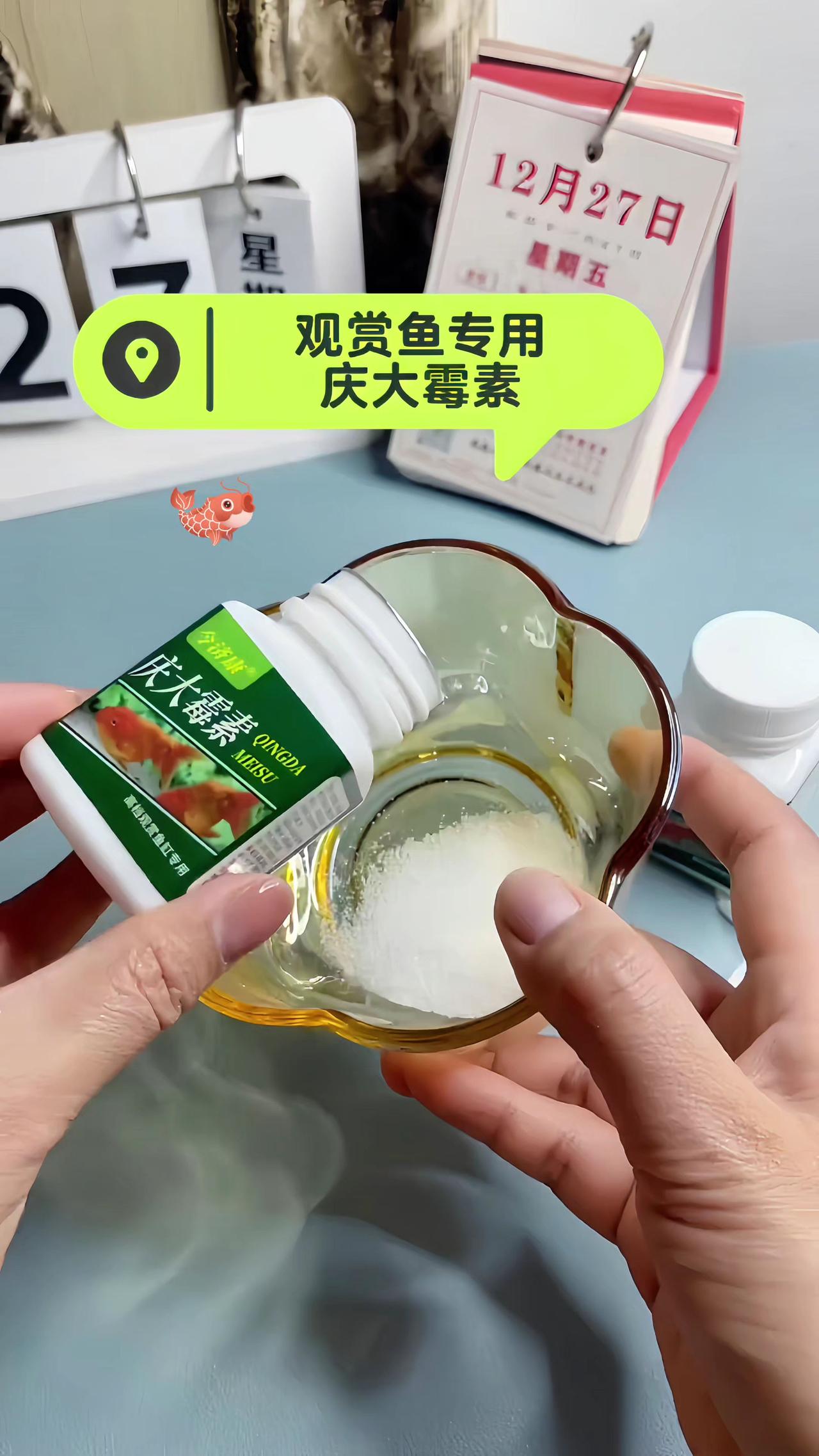 庆大莓素 新手养鱼 养鱼日记 观赏鱼 三农流量扶持计划