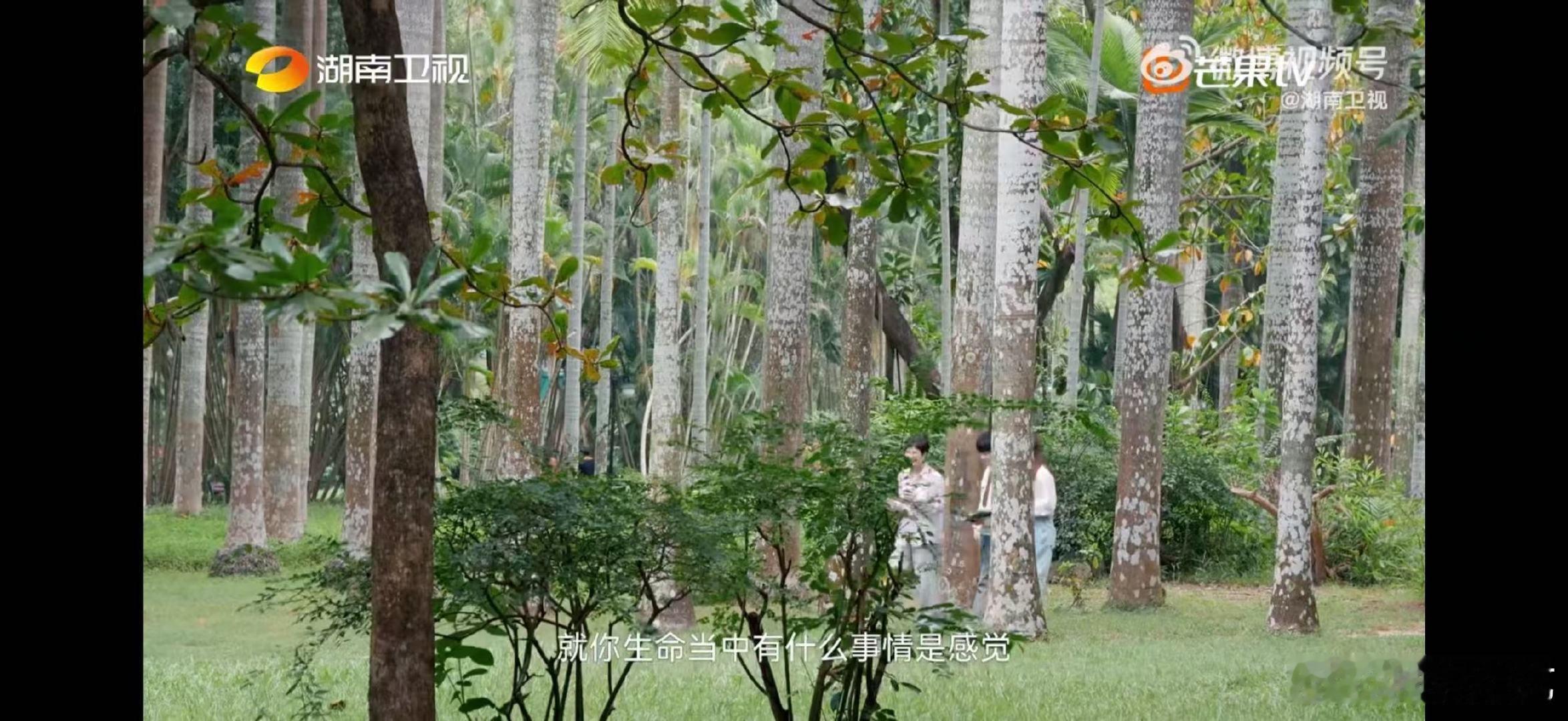 武艺遇到喜欢的人会主动湖南卫视背后武艺的恋爱态度好正！先看清内心，再主动出击，这