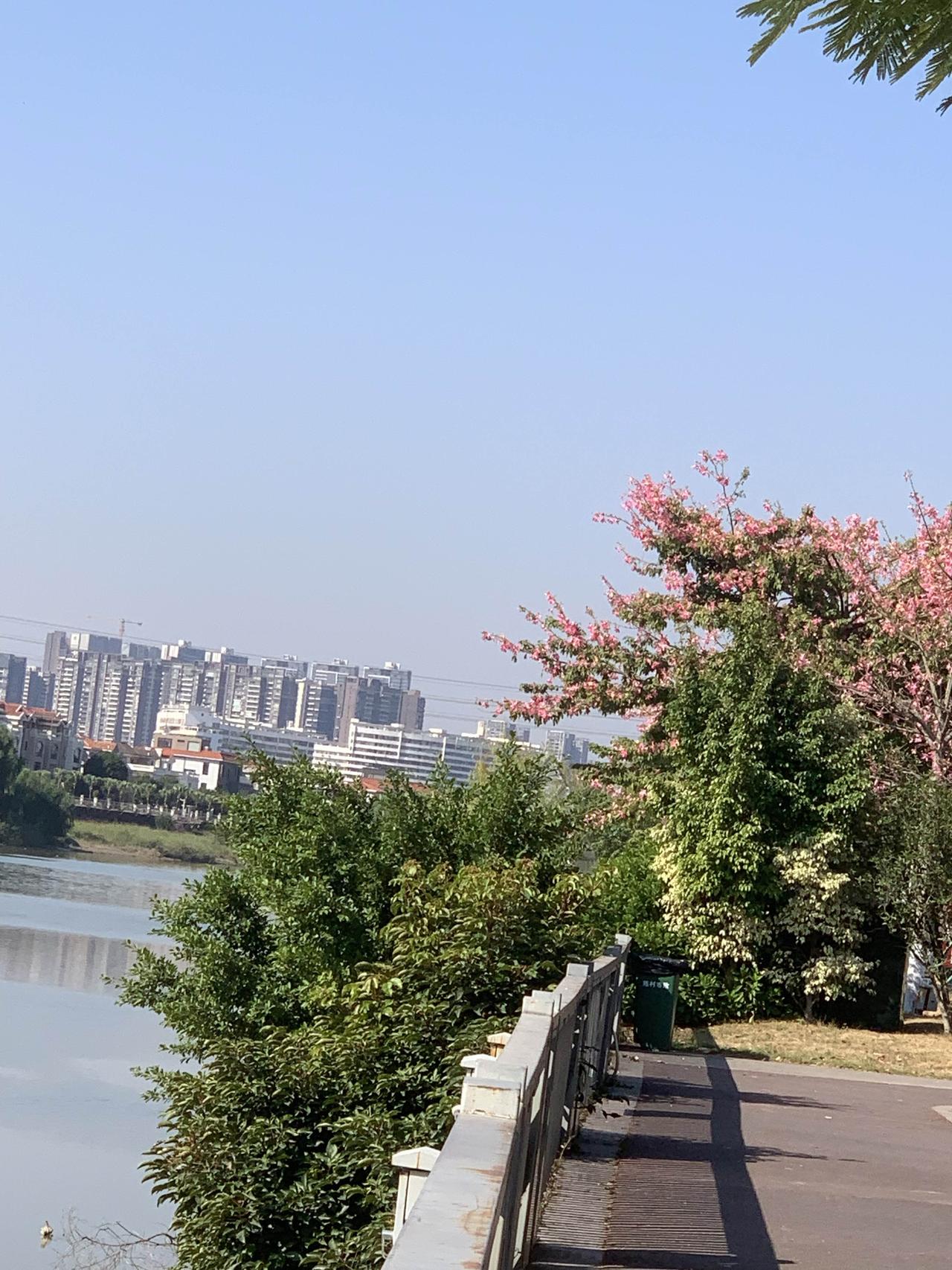 分享一段你拍的天空这是在广州顺德陈村拍摄的