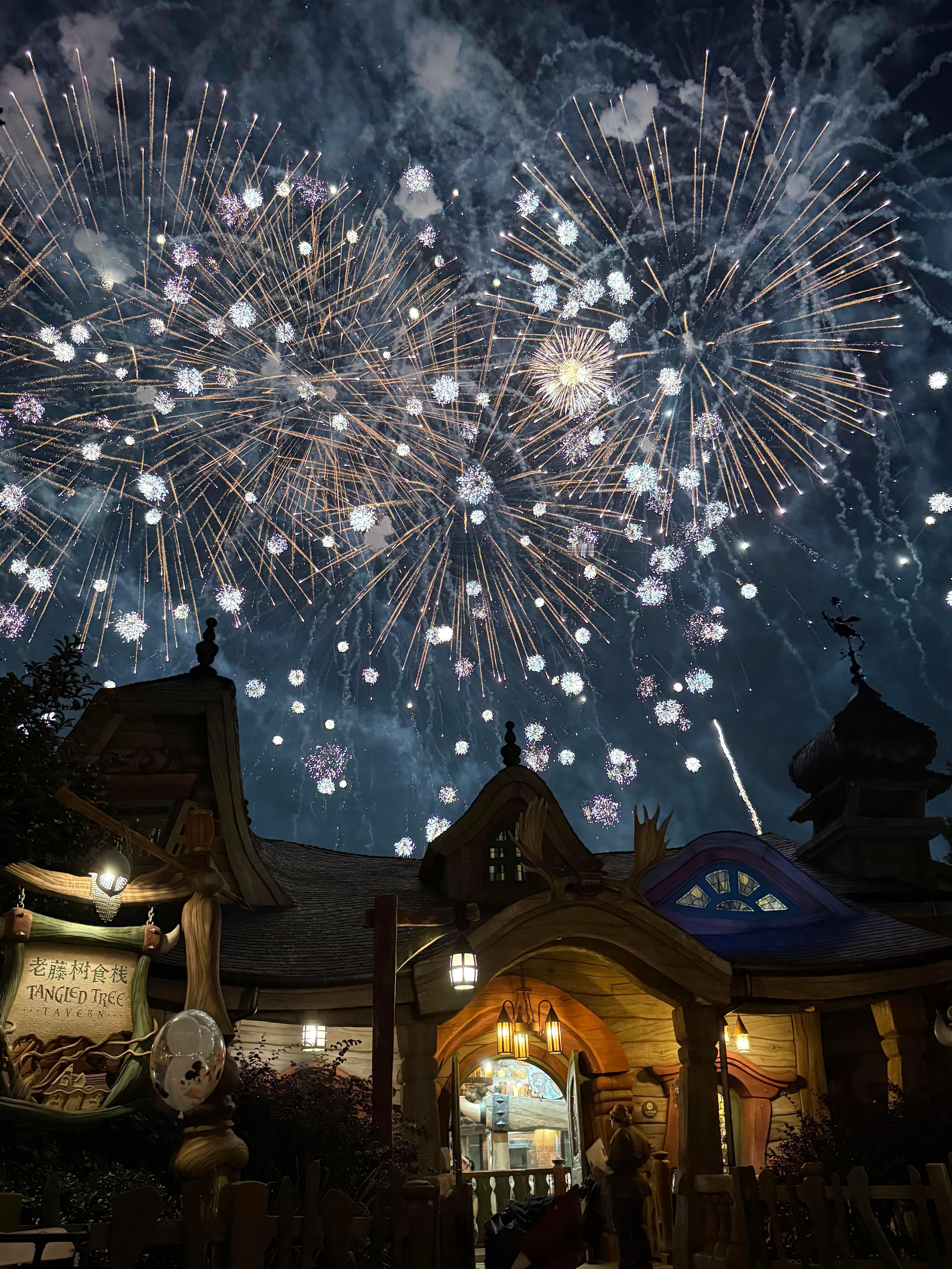 迪士尼烟花已经杀疯了… 