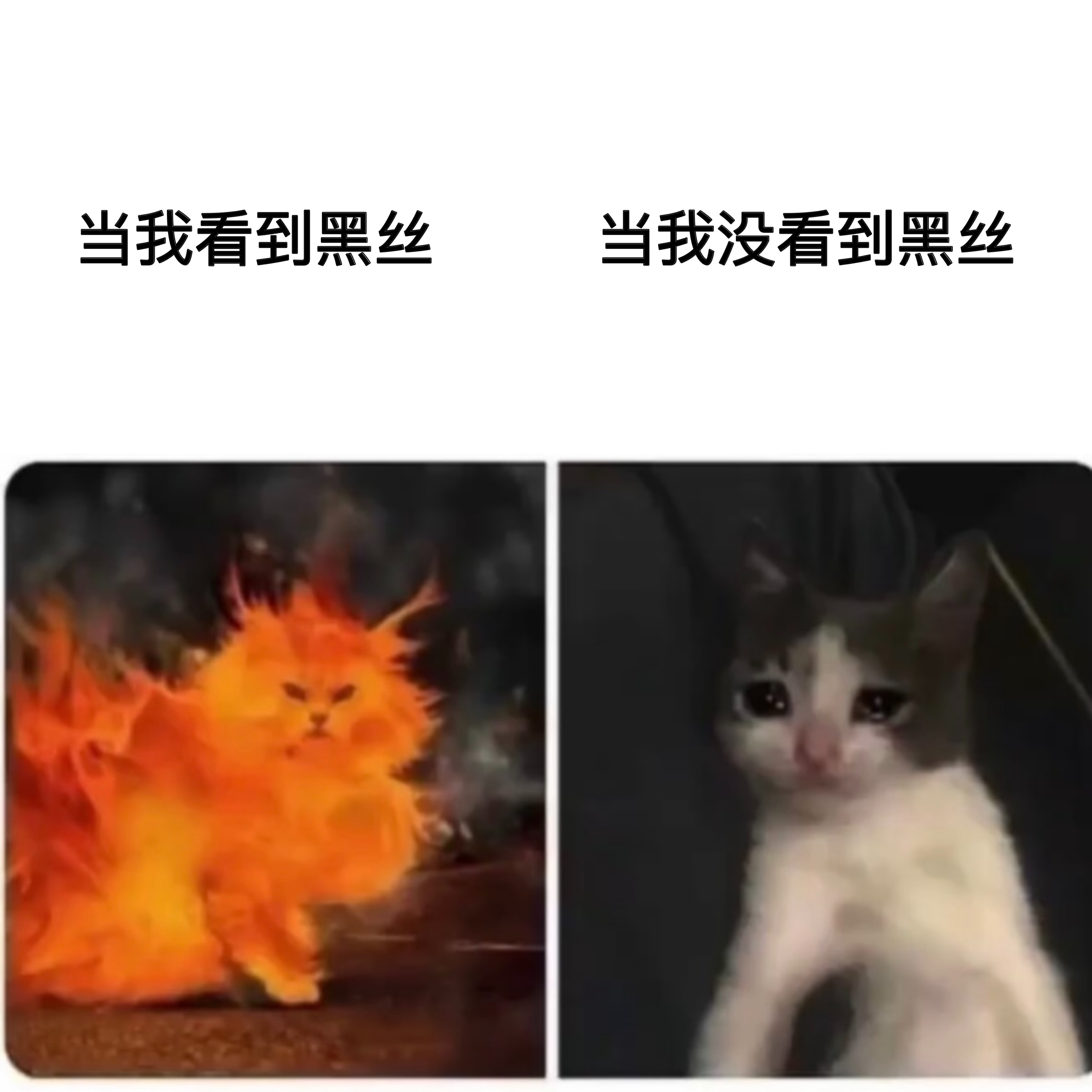 黑丝万岁memes