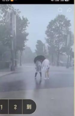 上海这场台风，反倒让迪士尼拍出了另一种画风。
8月9日，受台风“白海豚”影响，上