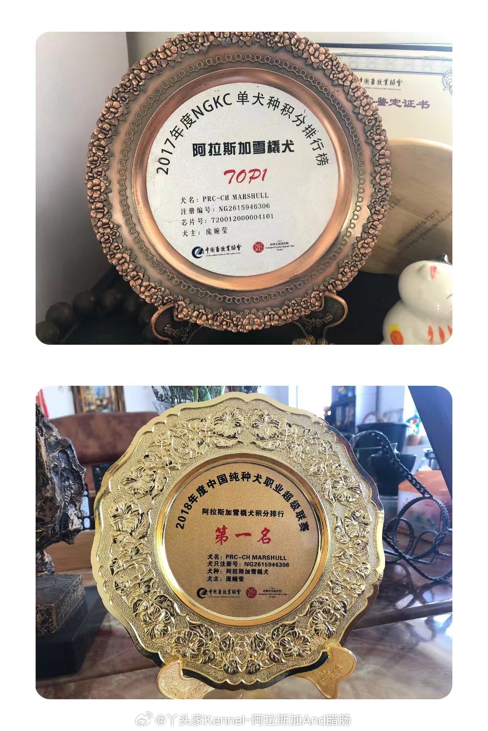 你好2026致所有“北极精灵”的家人：亲爱的家人们、朋友们：新年好！当新年的钟声