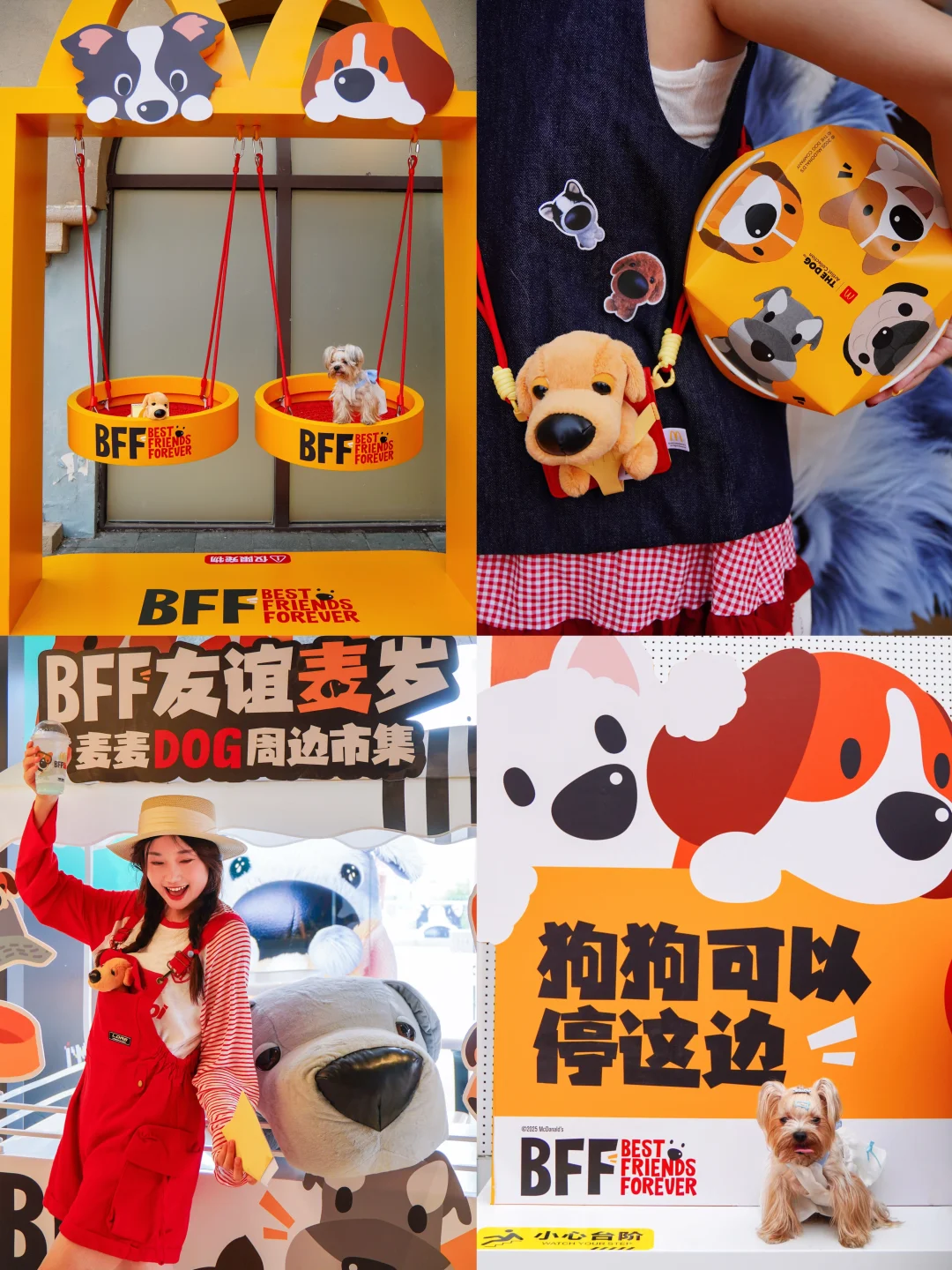 OMG！麦麦大头狗主题店！可爱到犯规！！🦮