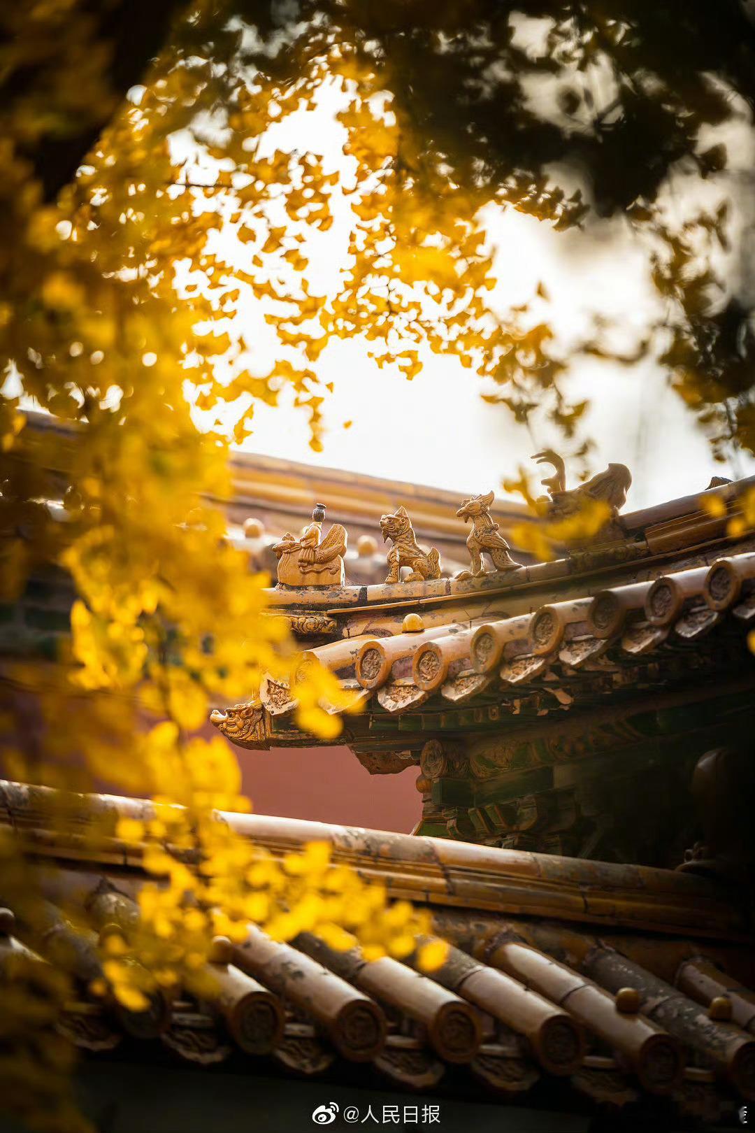 2025最燃音乐现场TOP30！！！ 