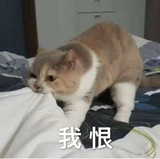 卧云爱谈科技