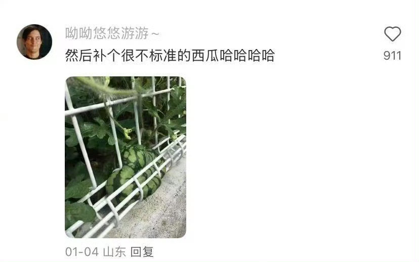 一颗很萝卜的萝卜厉害了，我的萝卜 