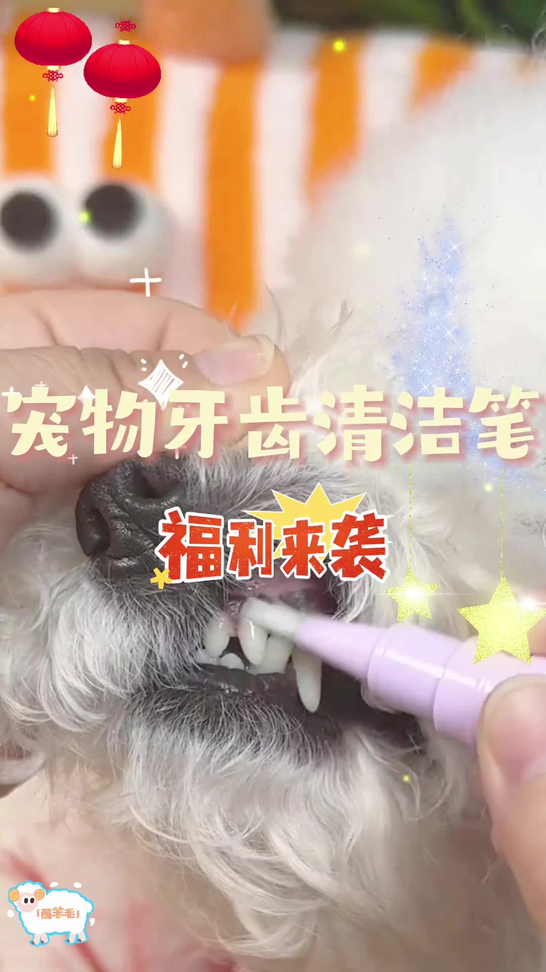 一定要帮猫咪刷牙，不用等到猫咪牙齿脱落了才后悔， 就用这个一体式刷牙笔真的很方便