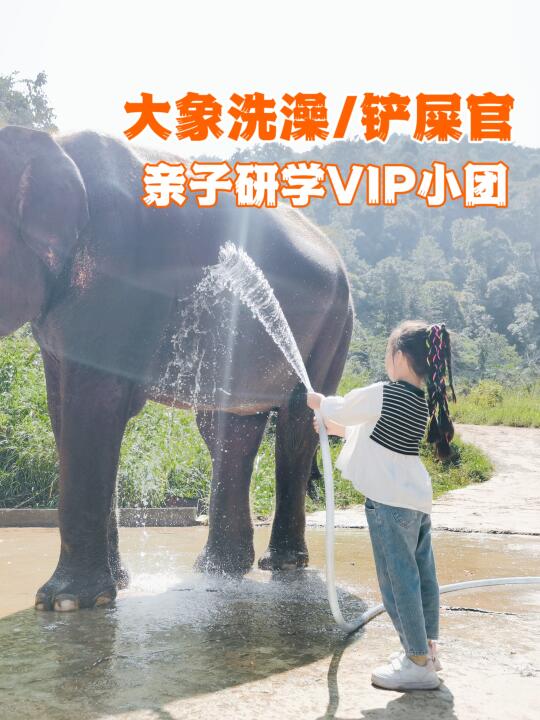 西双版纳野象谷｜带孩子参加这样的研学活动