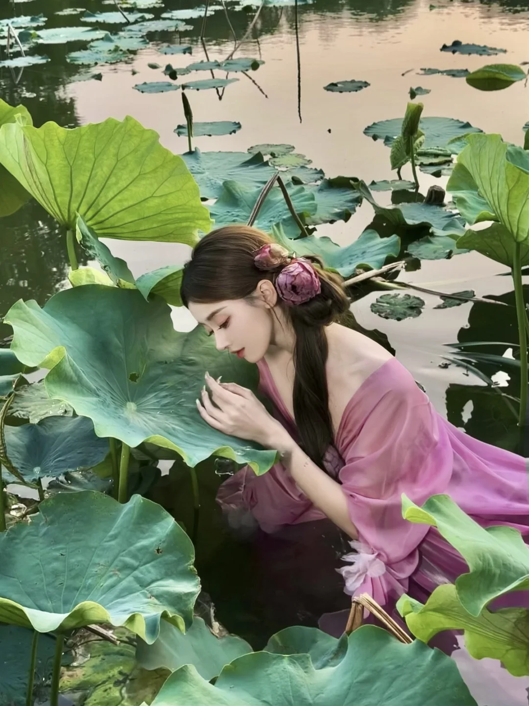 晚风吻尽荷花叶 任我醉倒在池边·live直出