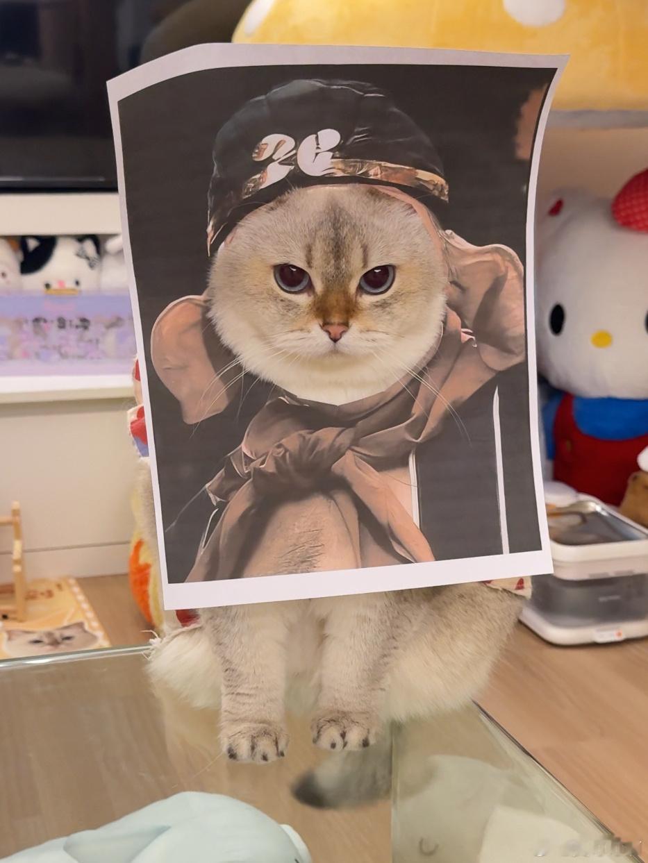 新西游记定妆照