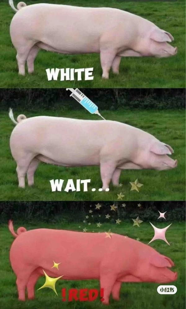 磕💊磕成这样 下半辈子不过了[疑问][疑问][疑问]还好意思质疑我们。。。# 