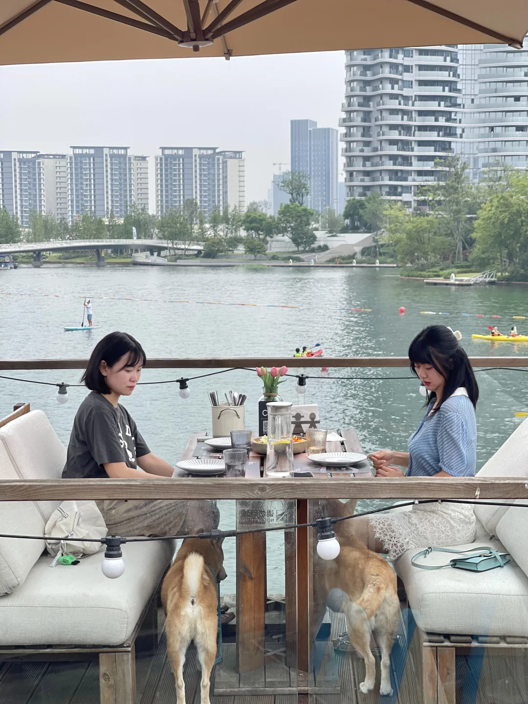 我和小狗饭搭子。