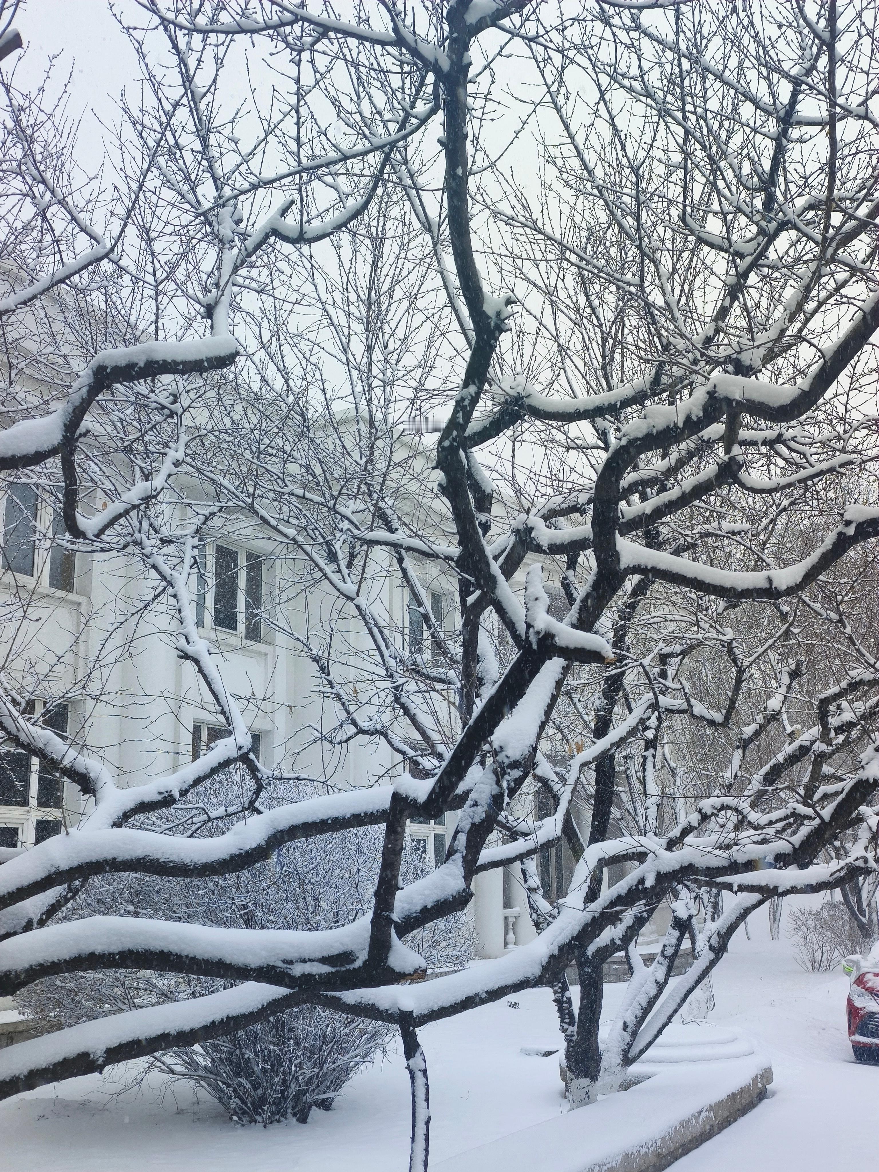 ❄️好大好大直往脸上砸