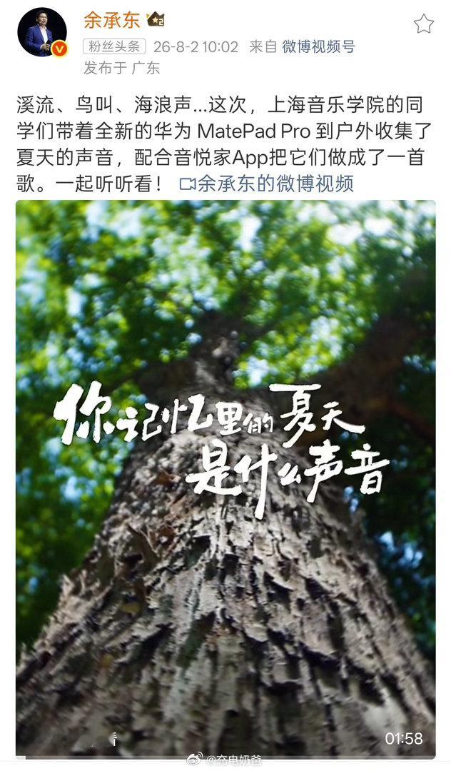 夏天的声音还是不错的 