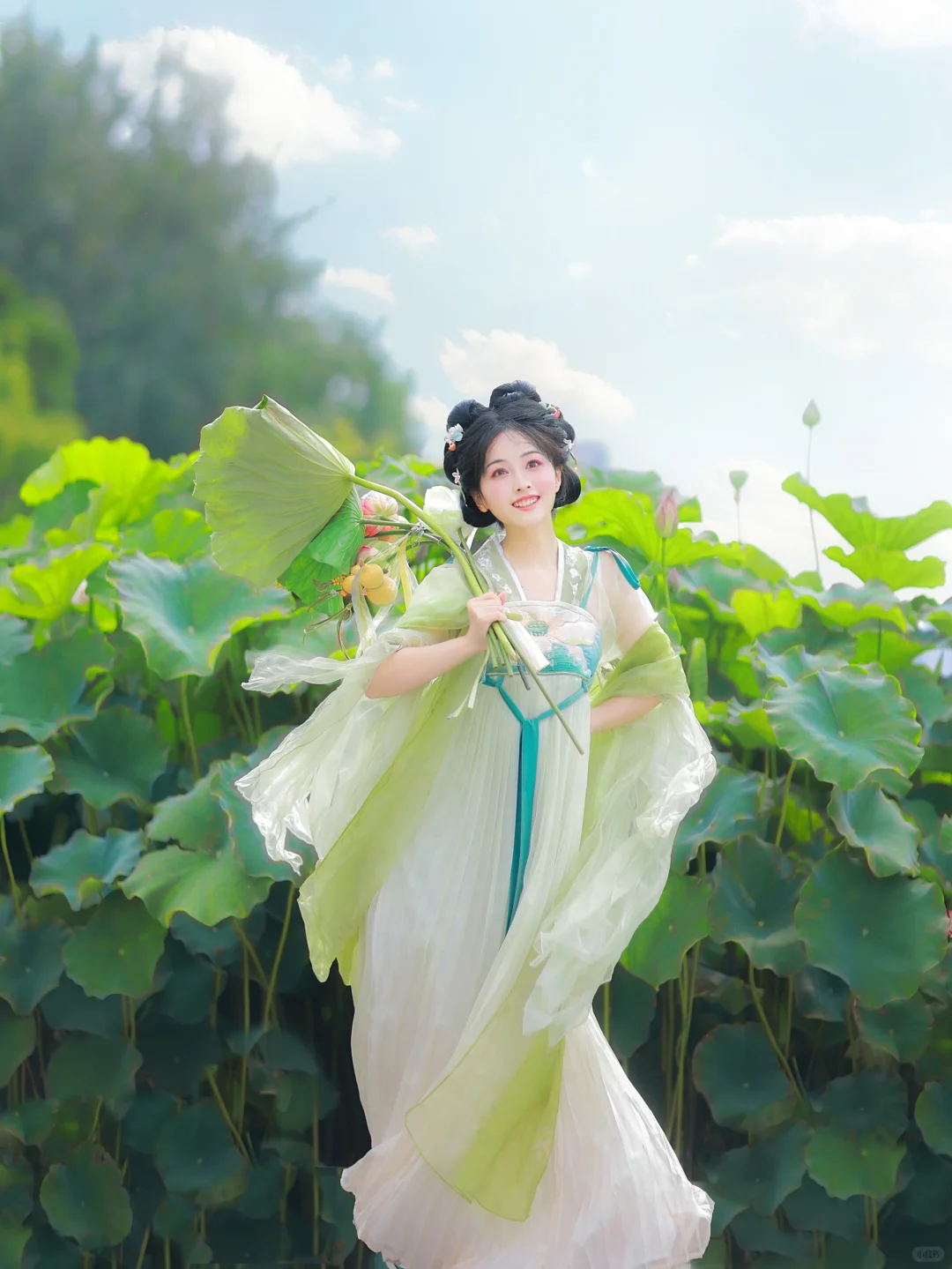 “兴尽晚回舟，误入藕花深处”｜拍荷花啦