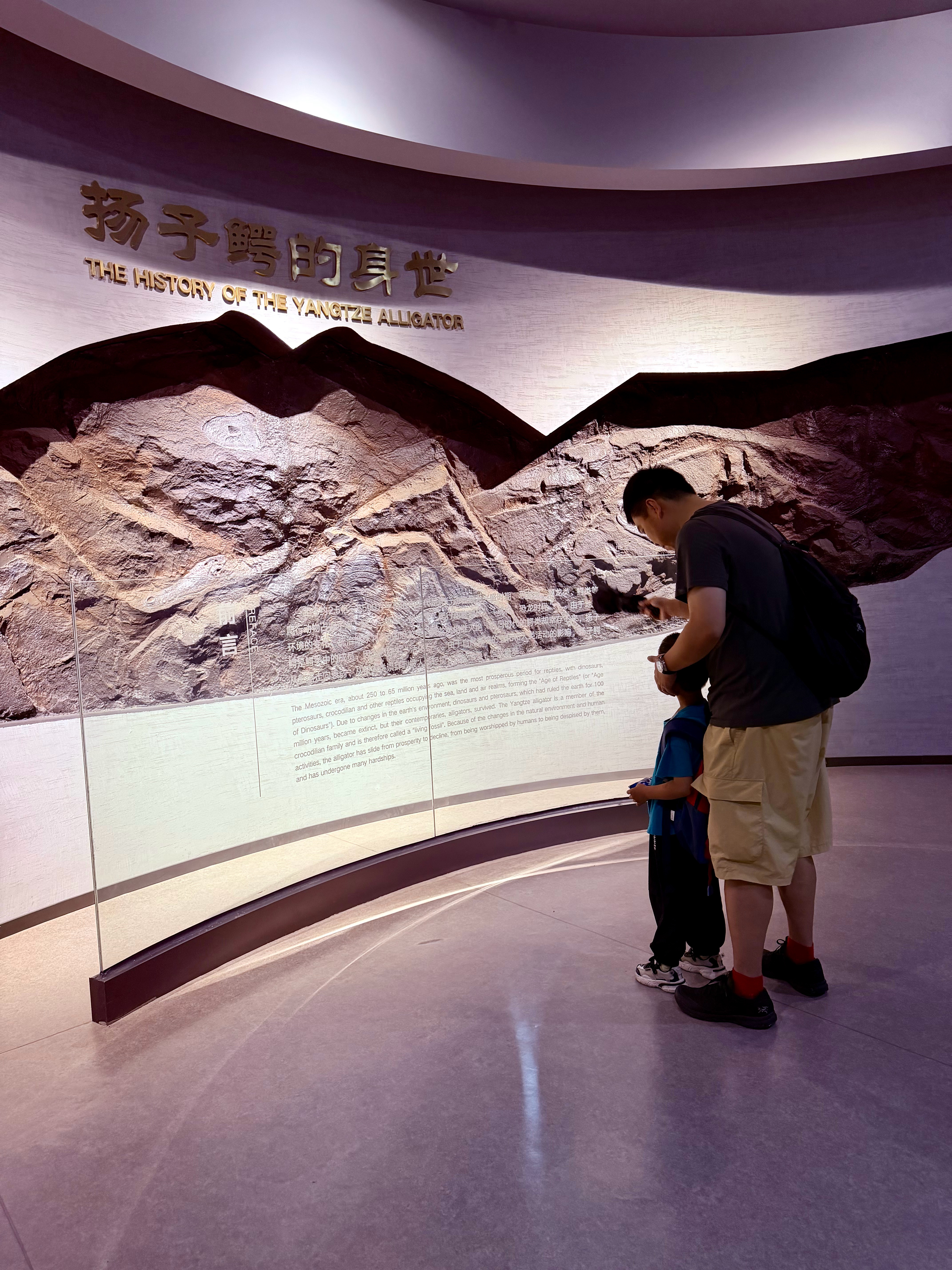 Ni’s Life 2026. 107.🧩假期碎片🧩 宣城plog 02📝