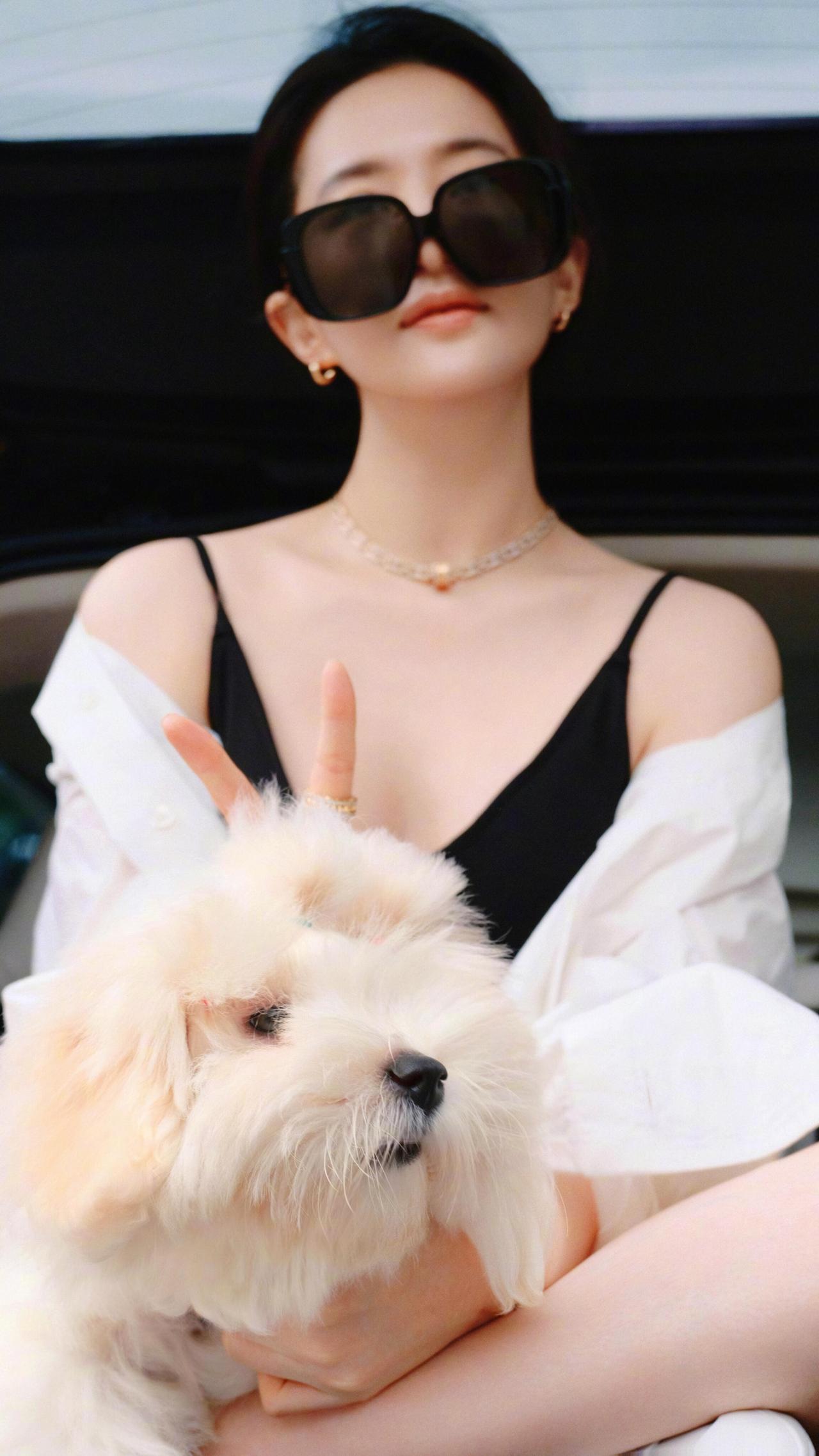 吹吹风，溜溜狗，美好生活啥都有