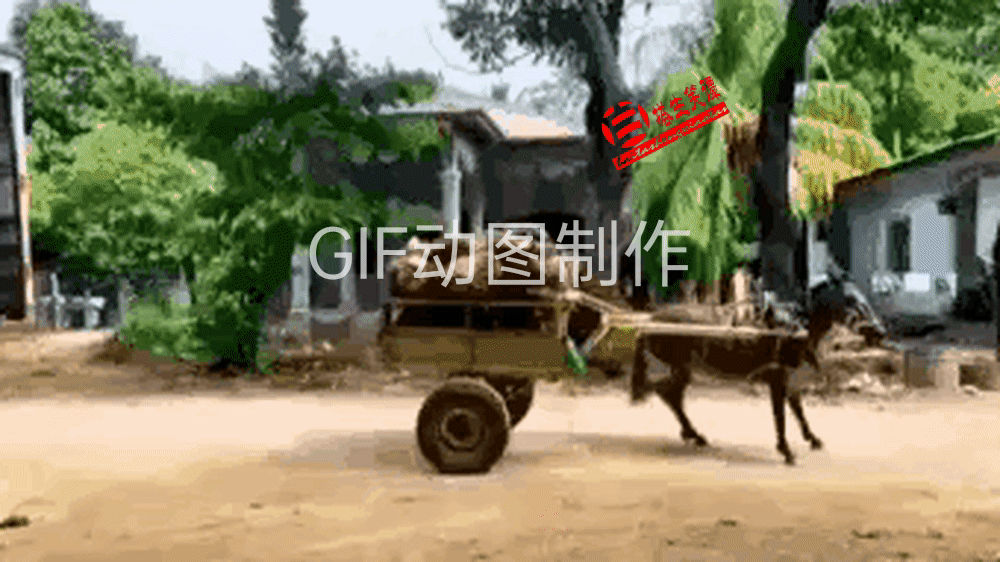 大哥在哪学的驾驶证，我也想去报名[赞]#我也来考个驾照# #正在学车啊# #你们