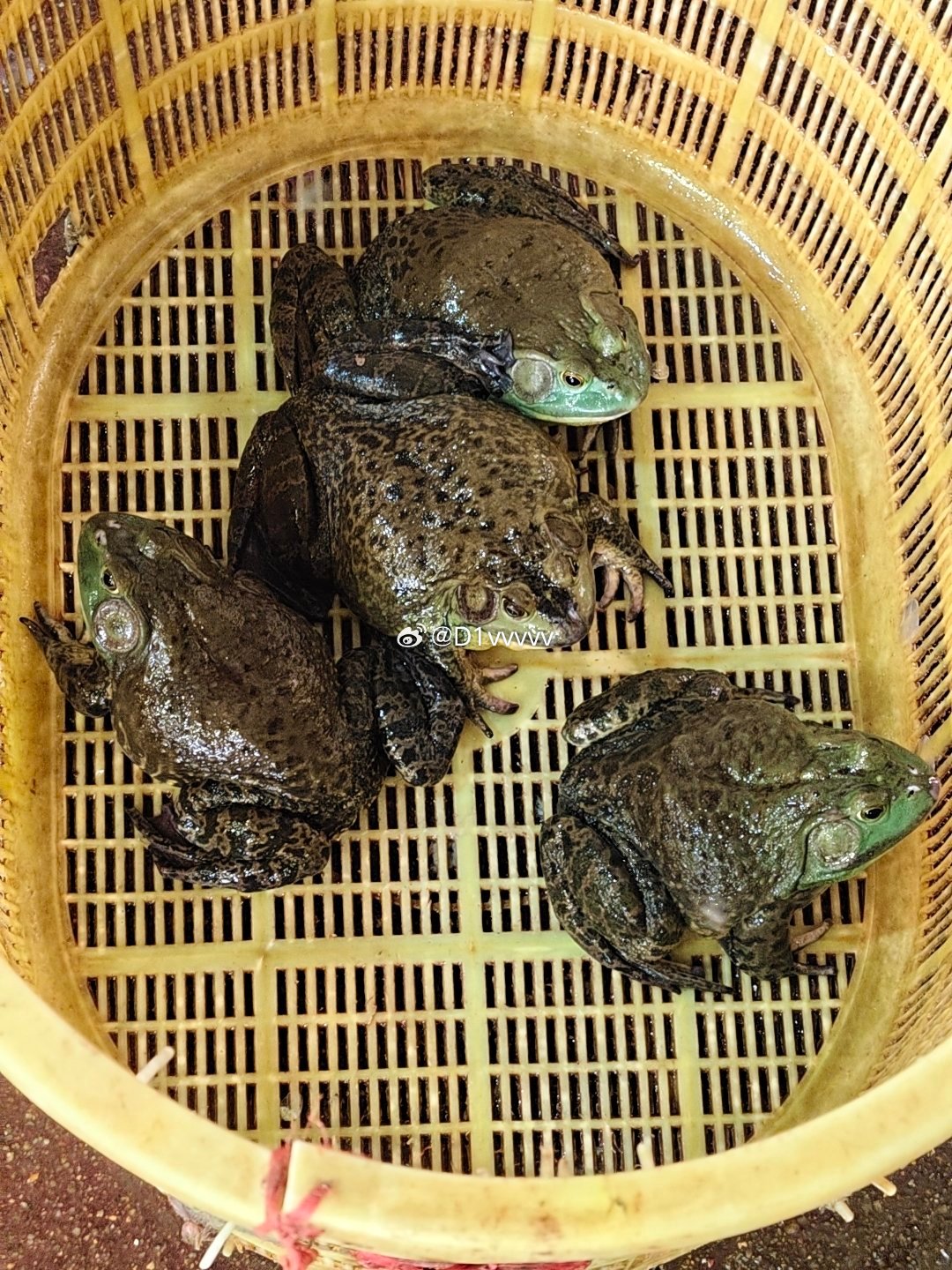 今日午餐 