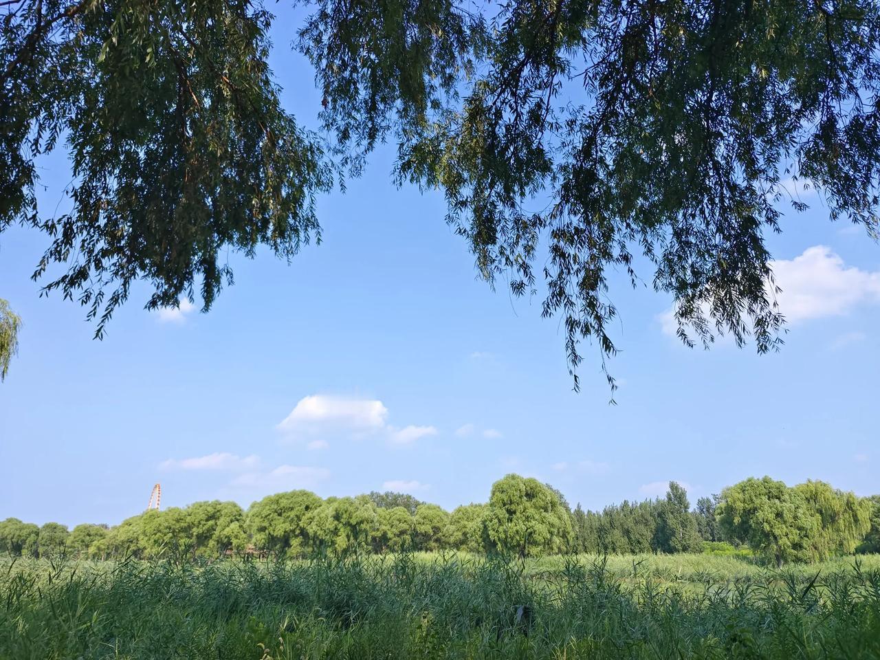 前半生活的匆匆忙忙，
说话快，走路快，干活快，
为家人为工作付出所有。
后来，经