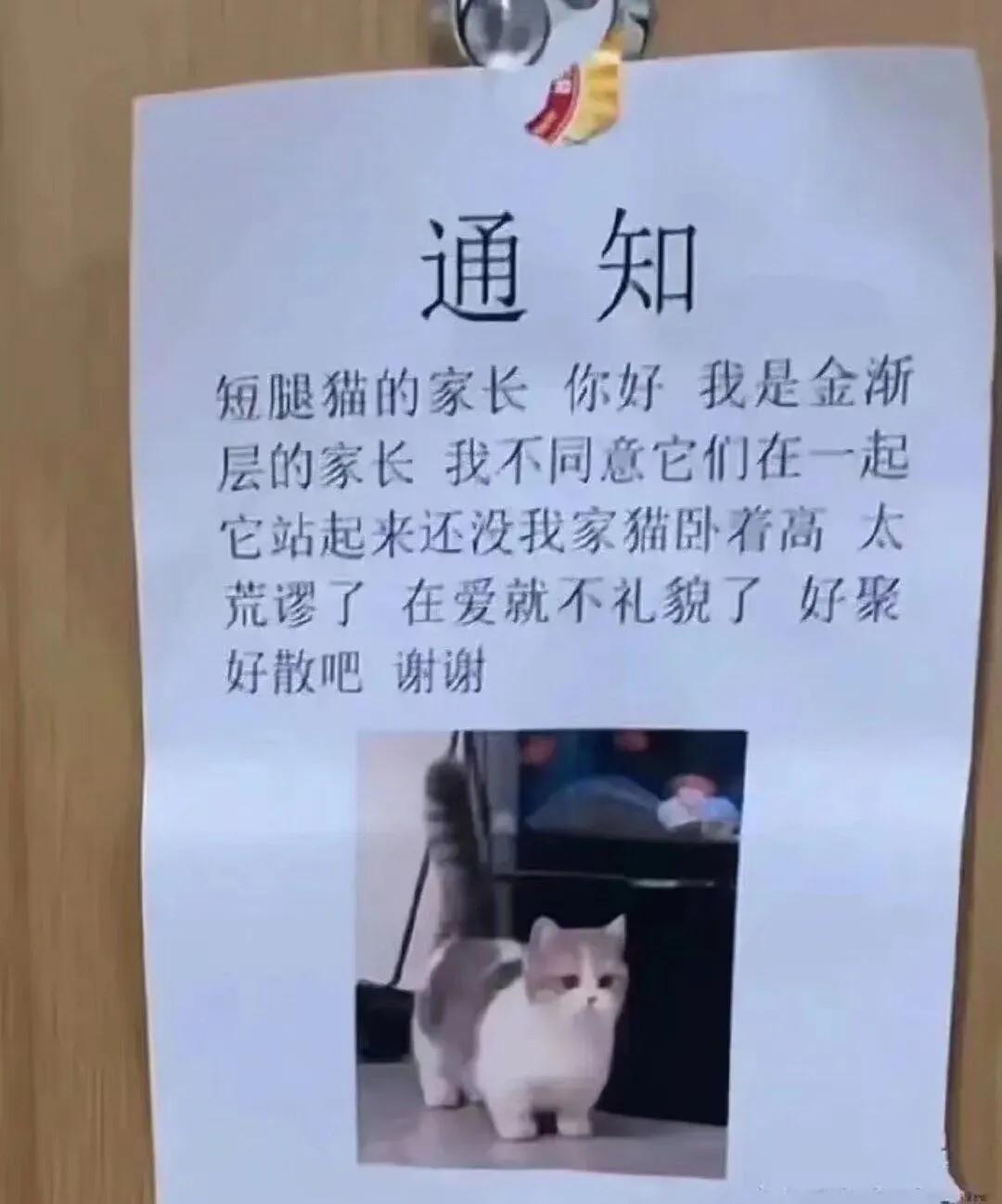 不被家长看好的爱情