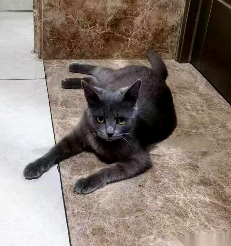 夫妻之间最怕什么？
不是没钱，也不是吵架。
是翻旧账。
一句话，就能把所有今天的