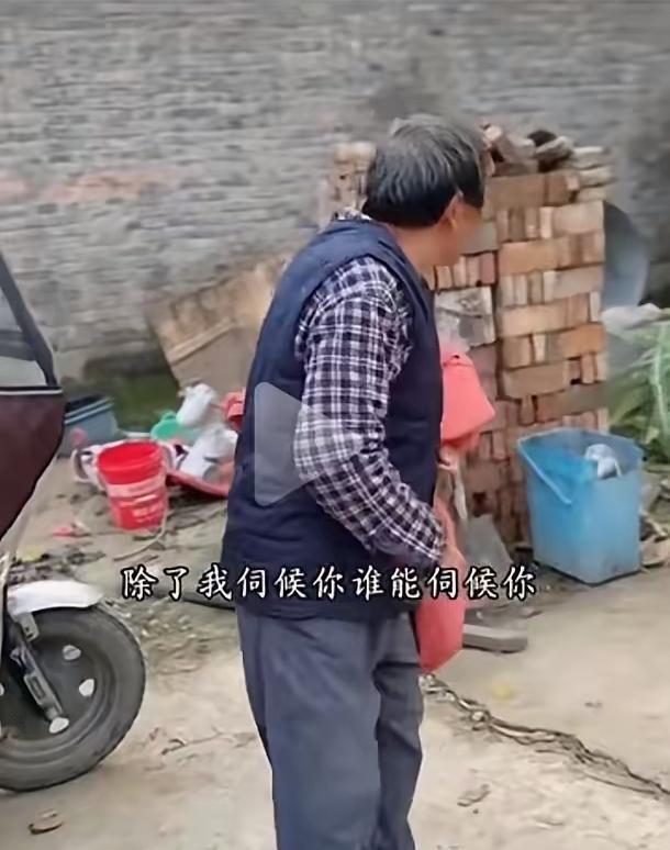 “外甥富德坐过牢？
”这一嗓子喊出来，差点把树兰一家子的路人缘给喊没了！
就在大