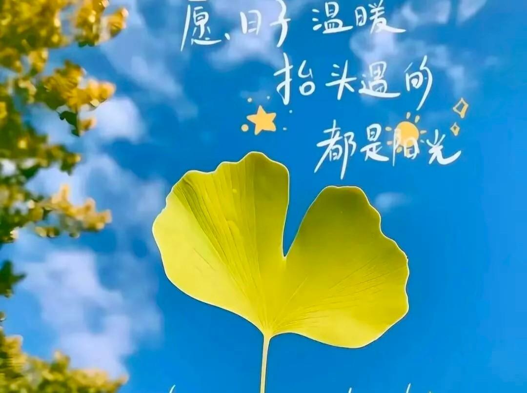 快来看看我新换的主页背景吧