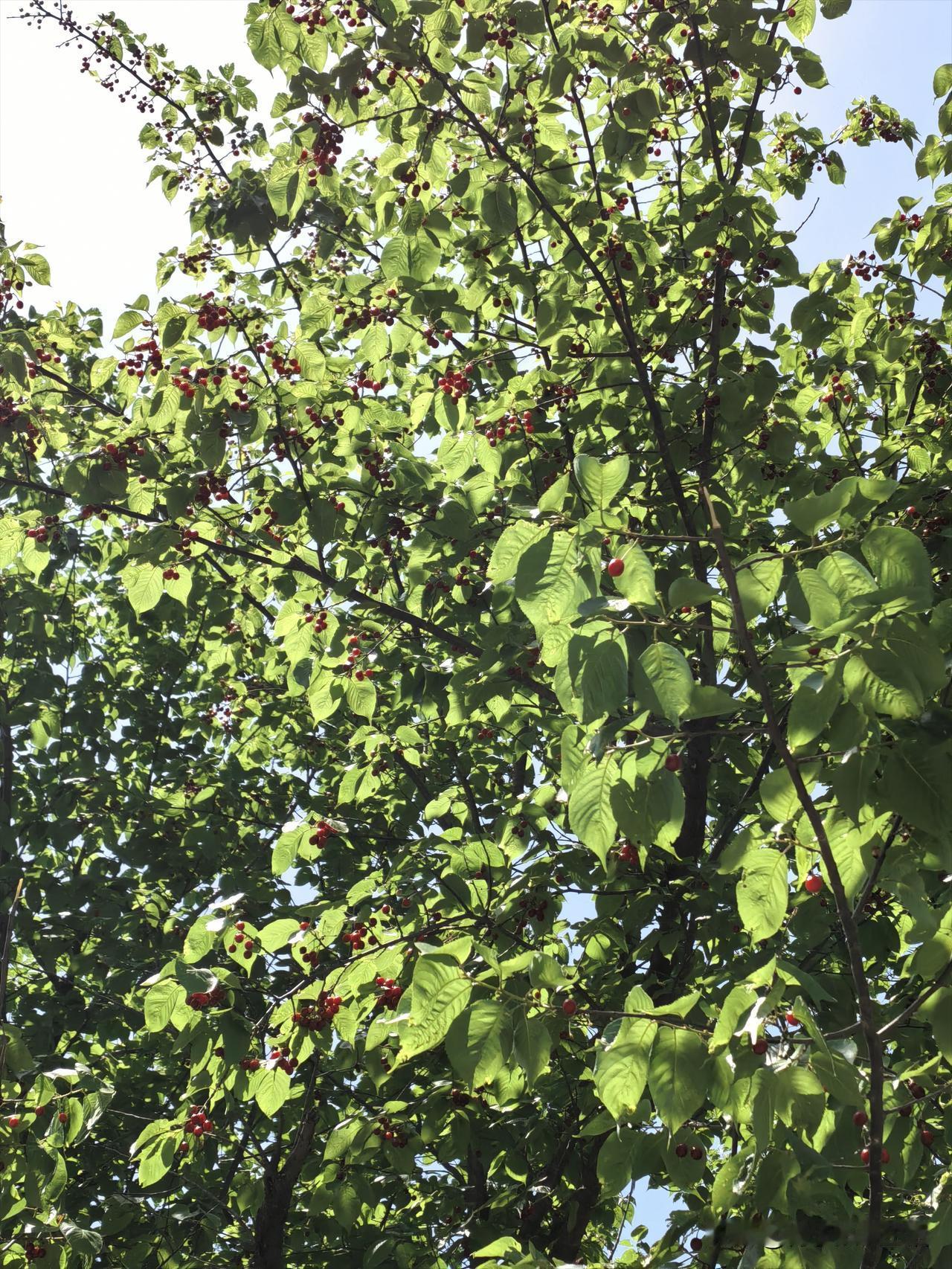 中小学取消重点班对学生有何好处取消重点班，核心就是不把孩子过早分层，让教育更公平