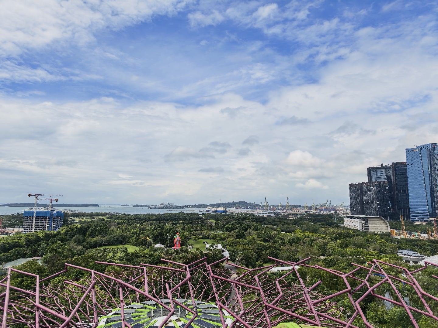 擎天树冠，一马海川 