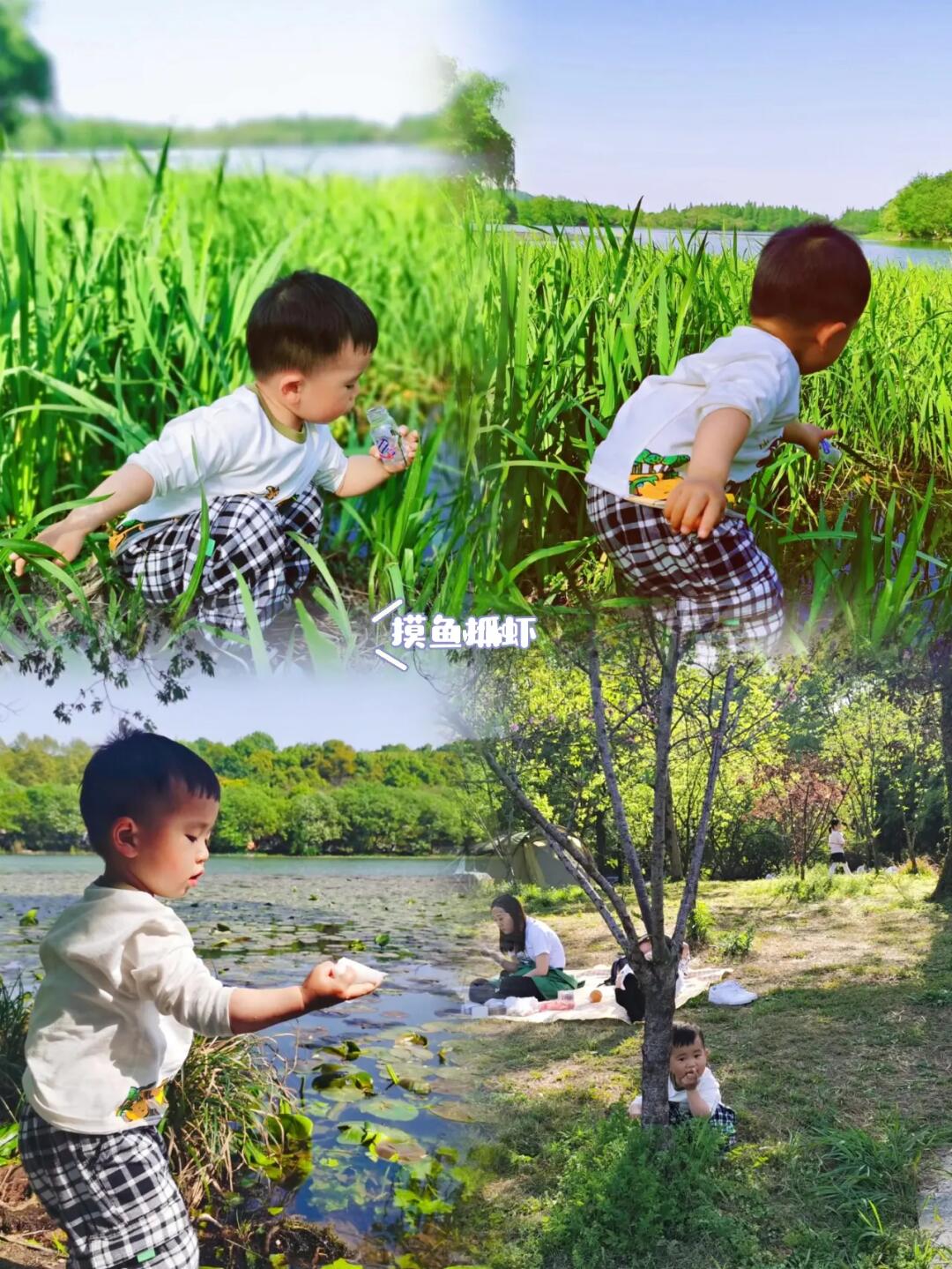 还去西湖人挤人？快带娃来茅家埠体验野趣吧