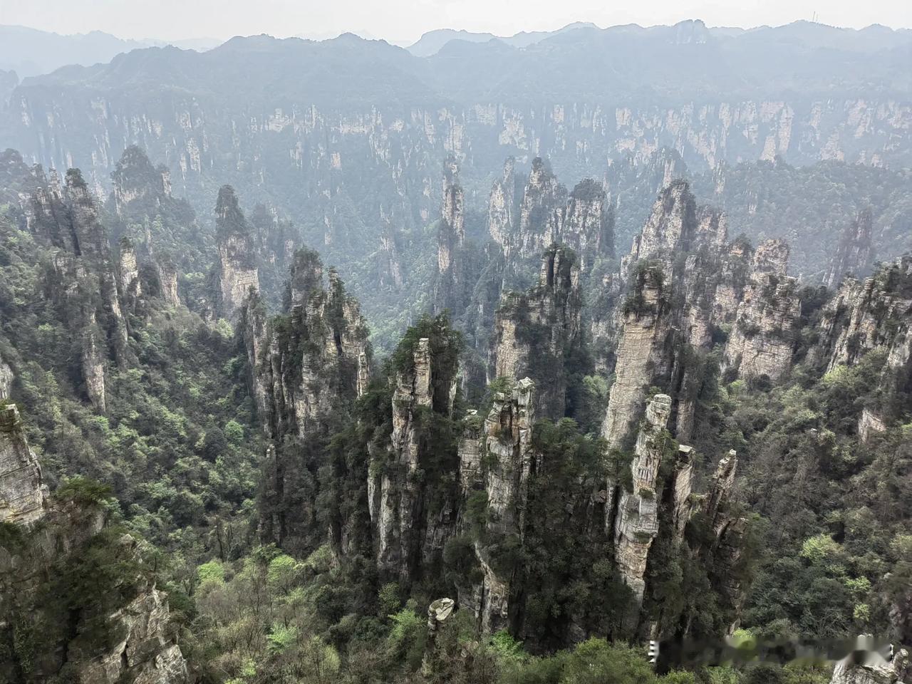 出去玩千万别报团，自己玩省钱又自由！

无意中听一个朋友说她前段时间去张家界玩，