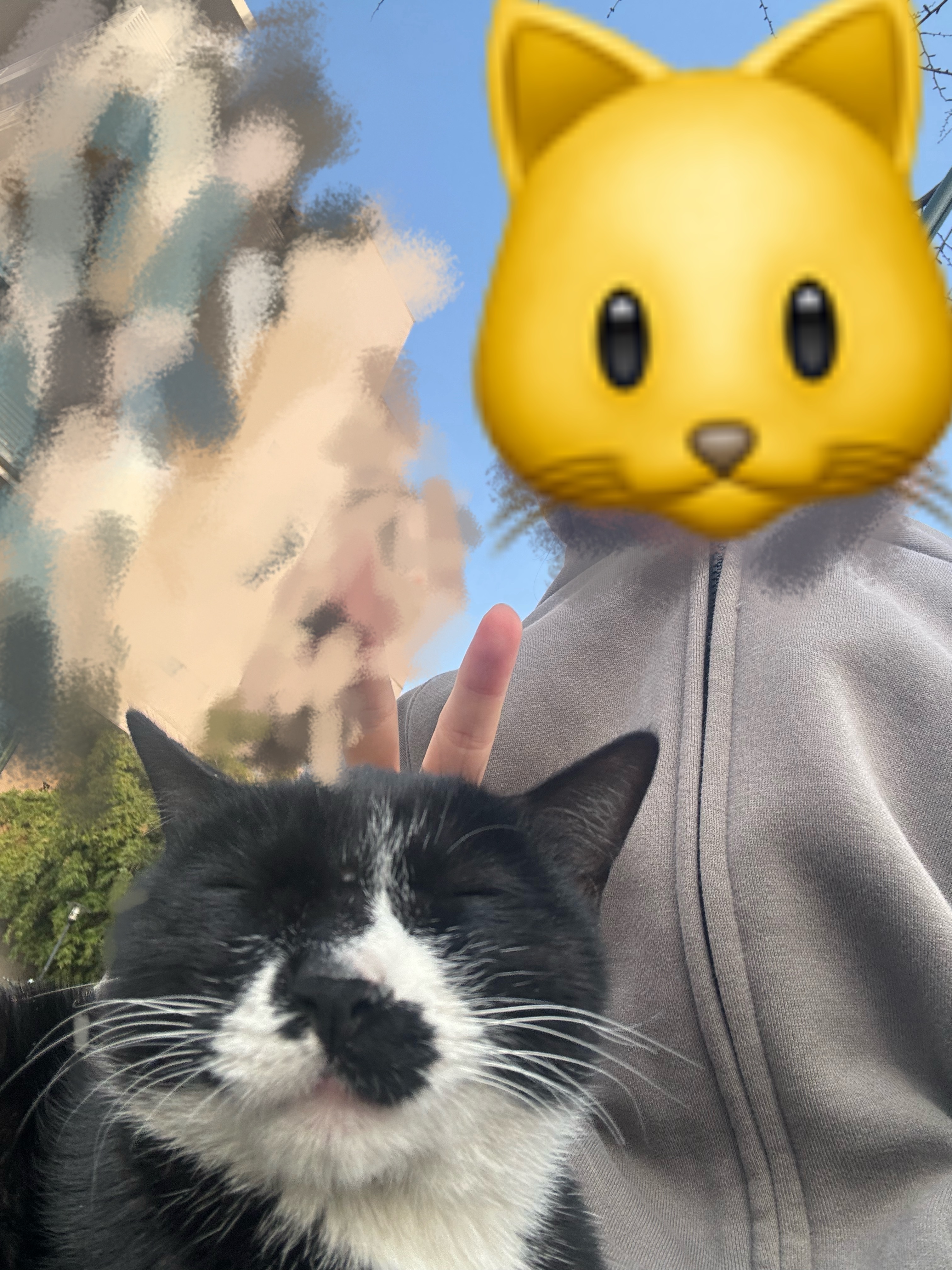 咪咪也会有烦恼吗 