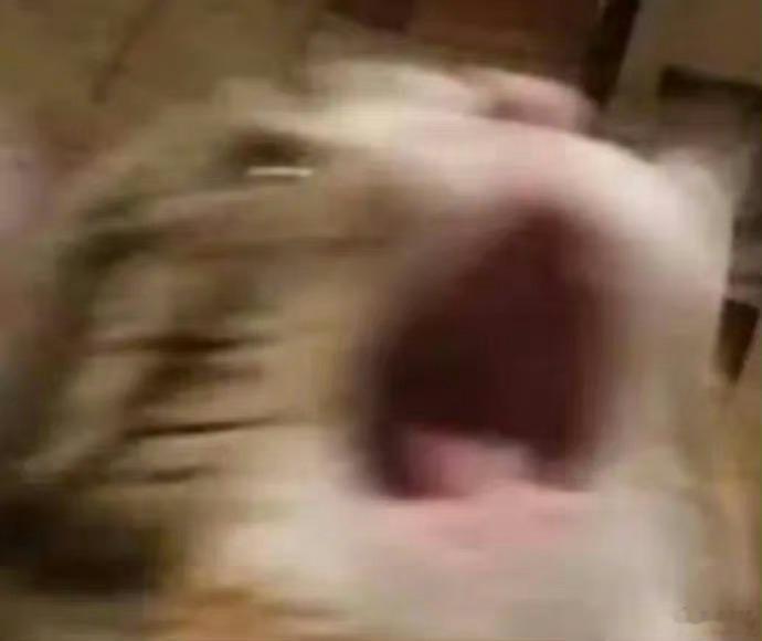 当你醒来以为是凌晨四点 但发现距离你的闹钟响还有一分钟时： 
