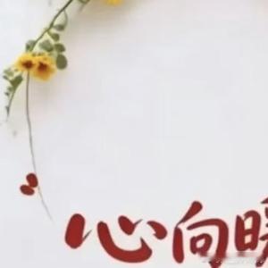 生活手记往后余生，学会落落大方，好好生活，放下执念，清空烦恼。周日愉快