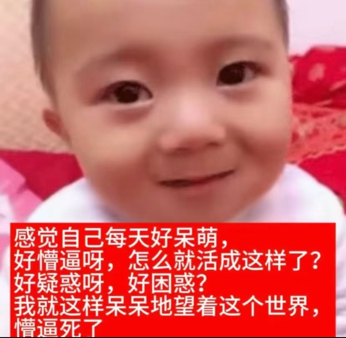 我每天就这样看着形形色色的人和动物挑衅我！所有人和动物都想进入我和振东的生活！我