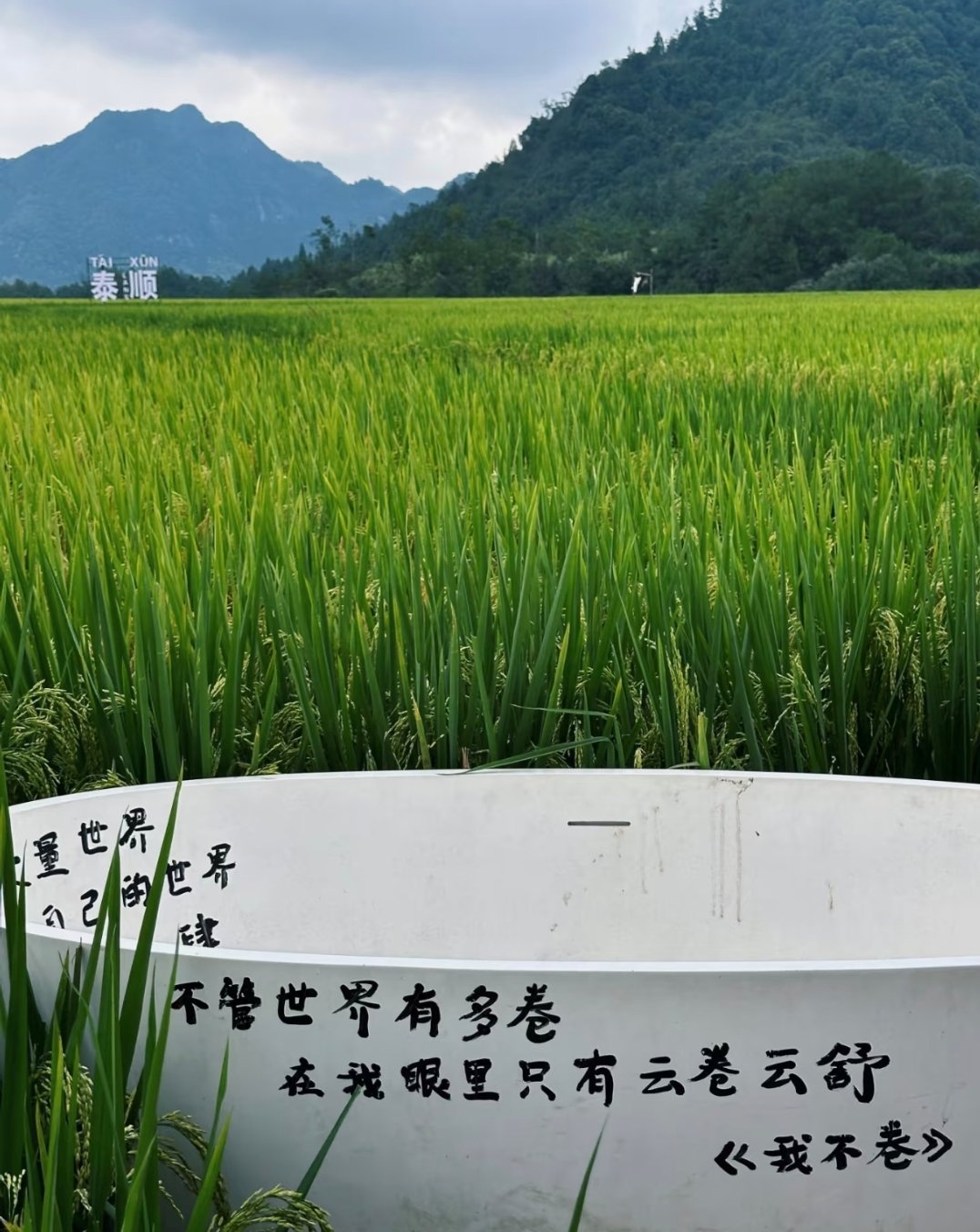 治愈 温州·lan's浪肆咖啡庄园