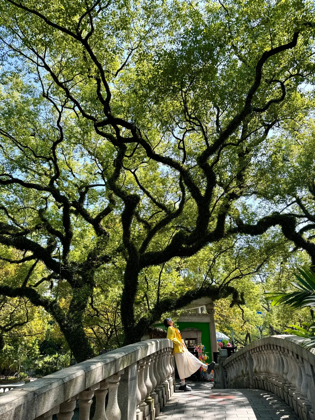 佛山......可以去10000次的免费公园🌳...