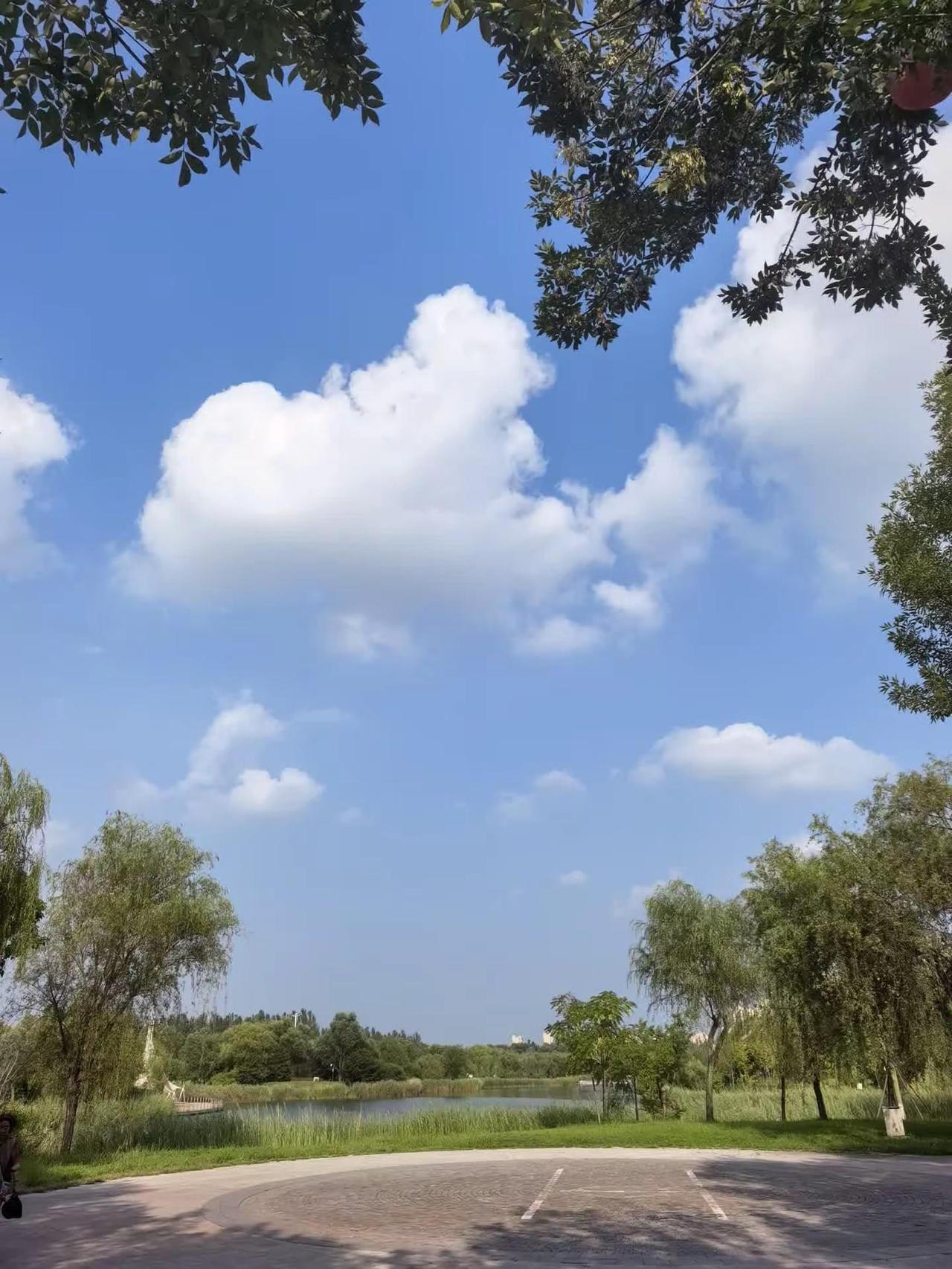 手机拍到的夏天 适合发呆的风景 无色彩不夏天 拍照构图 创作者服务中心 图文热点