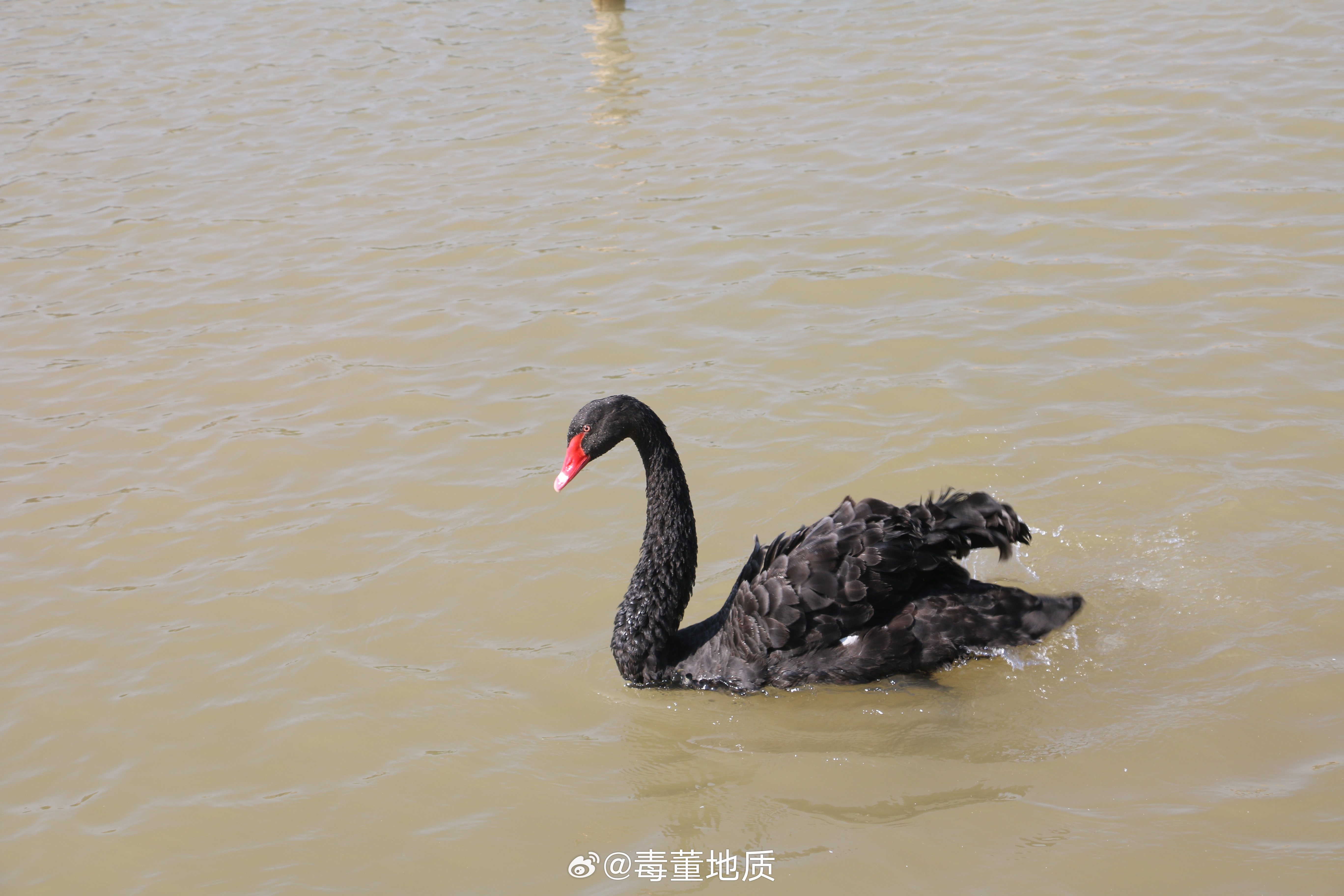 审稿拖到最后一天，终于完成任务了，下班回家。 